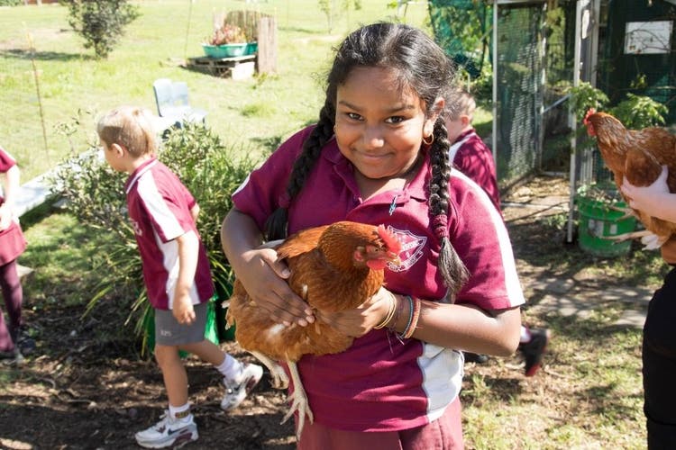 A girl fold a chicken in her hands while looking directly at the camera and smiling. behind her, students are moving around.